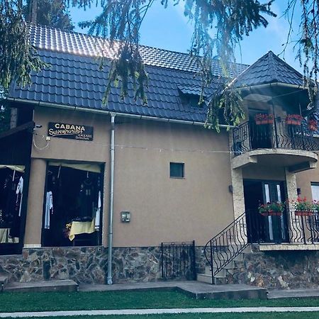 Cabana Suvenirurilor سكاريشوارا المظهر الخارجي الصورة