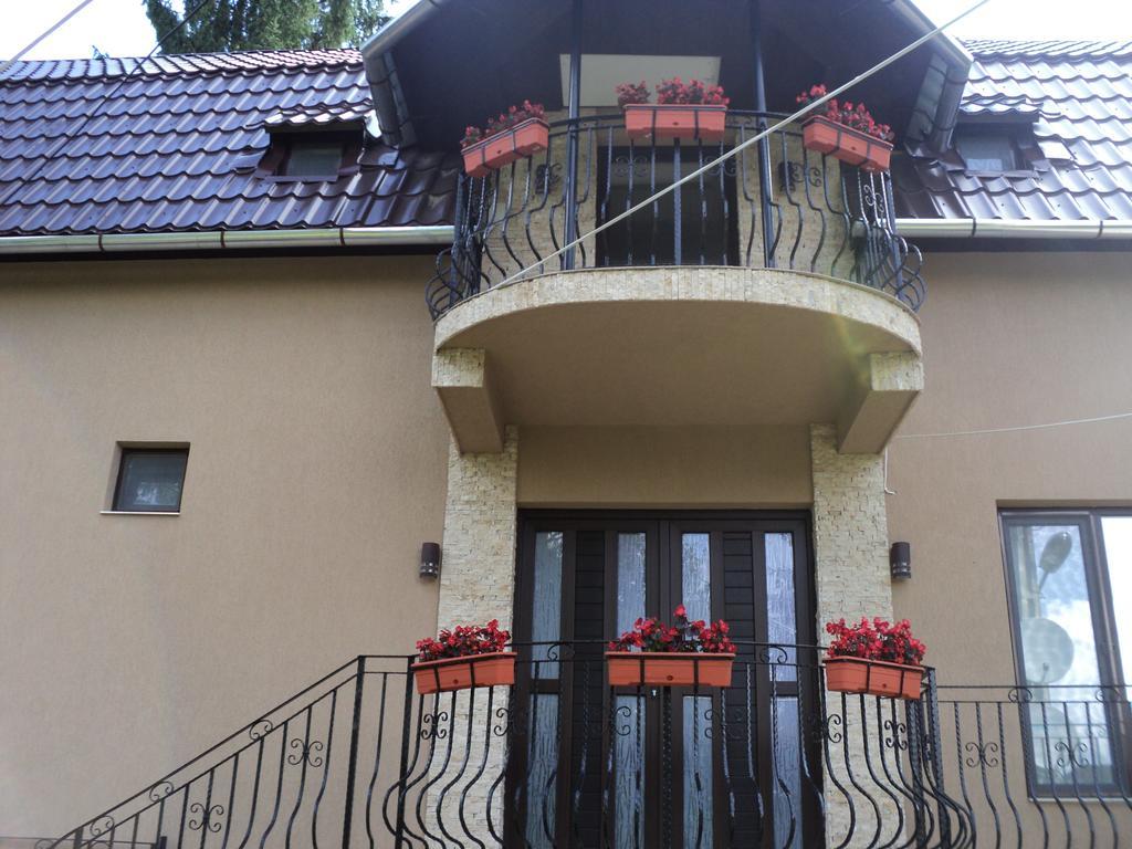 Cabana Suvenirurilor سكاريشوارا المظهر الخارجي الصورة