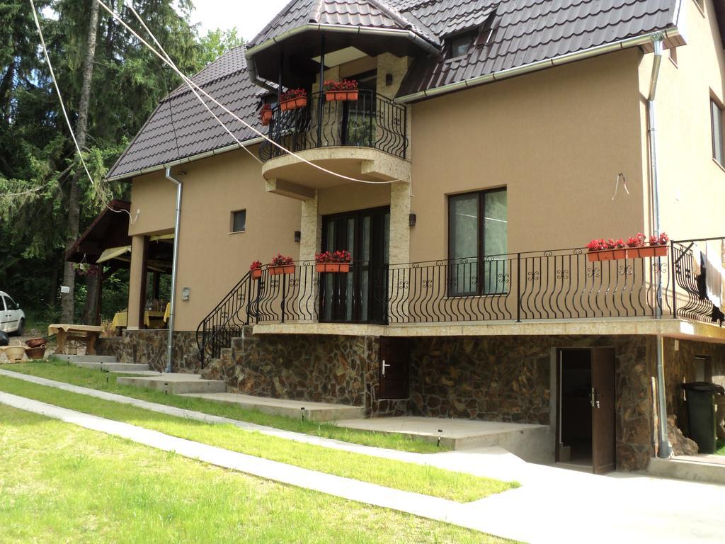 Cabana Suvenirurilor سكاريشوارا المظهر الخارجي الصورة